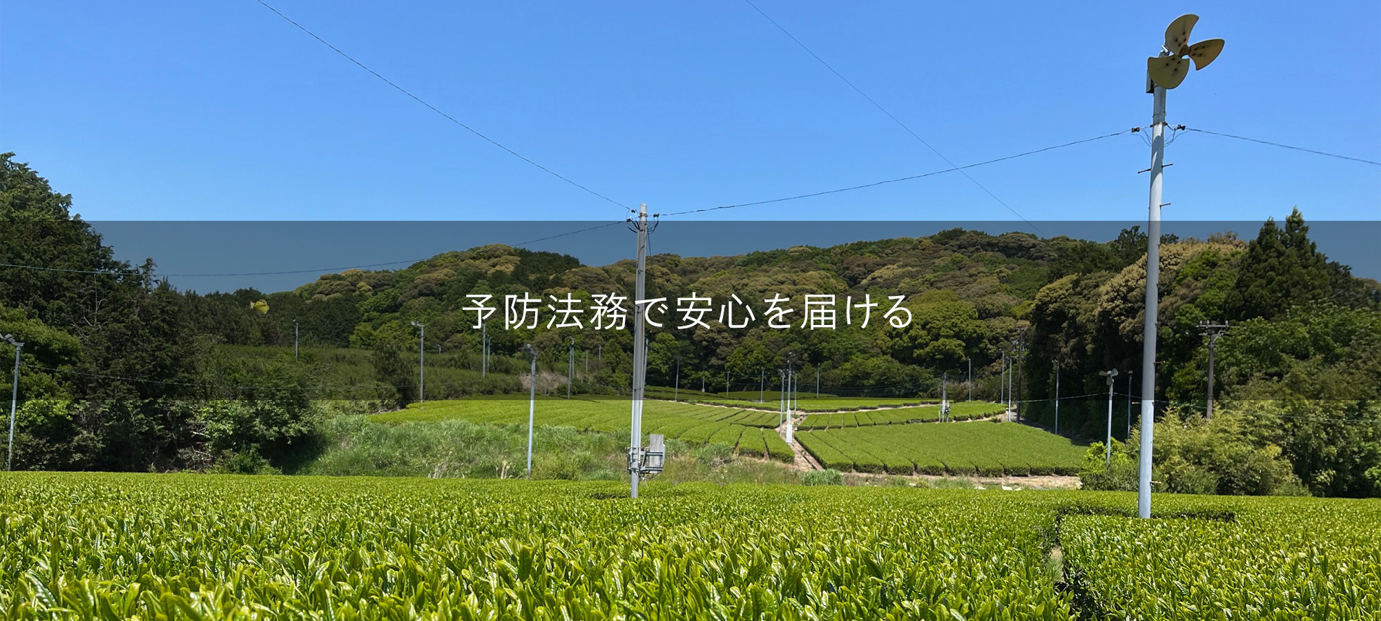 おおはら行政書士事務所